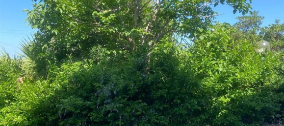 Apartamento de 10 habitaciónes en Cinisi, Italy No. 326708 3