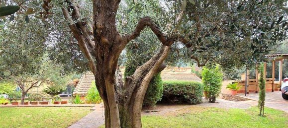 Apartamento de 4 dormitorios en Monte Argentario, Italy No. 221792 8