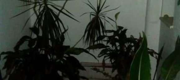 Apartamento T4 em Calpe, Spain N.º 1564 8