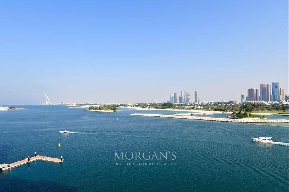 1 غرف نوم شقة في نخلة جميرا, UAE رقم 43809