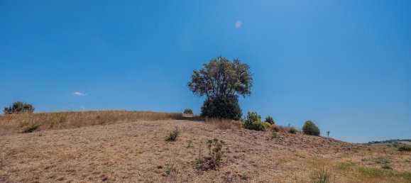 3 bedrooms House in Magliano in Toscana, Italy No. 65990 16