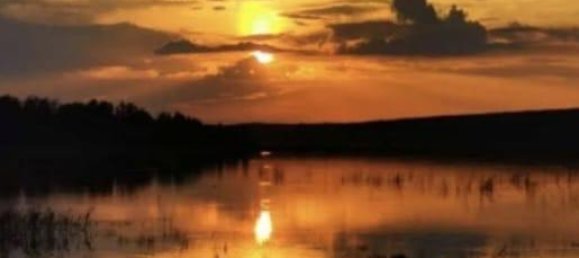 2 Schlafzimmer Bungalow in Mittelsachsen, Germany, Nr. 285886 19