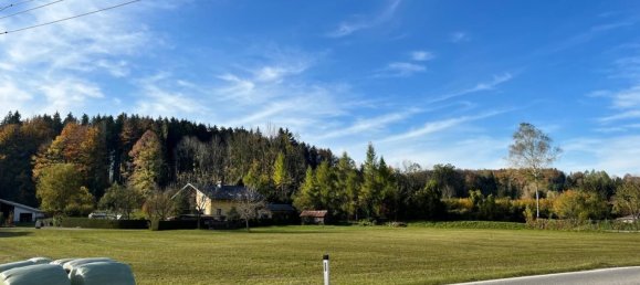  Land in Scharnstein, Austria No. 75735 2