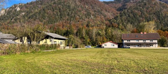  Land in Scharnstein, Austria No. 75735 9