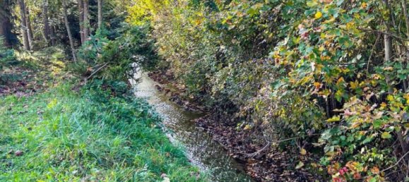  Land in Scharnstein, Austria No. 75735 6