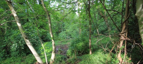 15 rooms House in Biella, Italy No. 156676 22