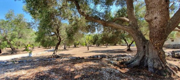 6-salle Maison à Ostuni, Italy No. 69050 23