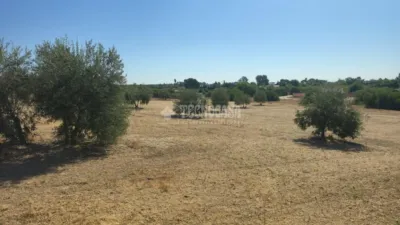  Land in Andalusia, Spain No. 261876