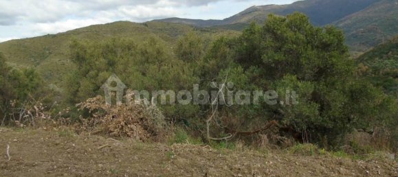 5000m² Land in San Mauro Cilento, Italy No. 308481 4
