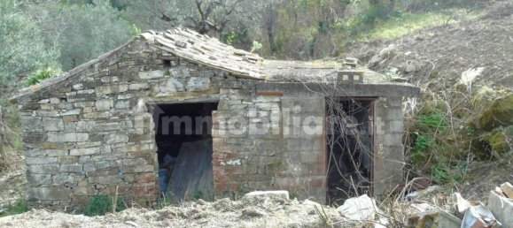 5000m² Land in San Mauro Cilento, Italy No. 308481 26