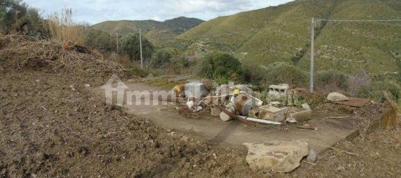 5000m² Land in San Mauro Cilento, Italy No. 308481 19