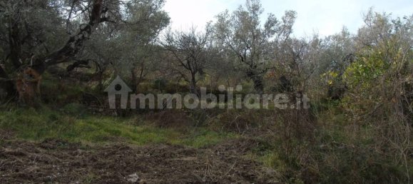 5000m² Land in San Mauro Cilento, Italy No. 308481 15