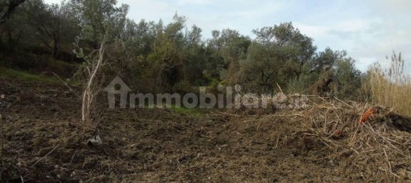 5000m² Land in San Mauro Cilento, Italy No. 308481 21