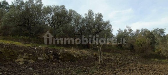 5000m² Land in San Mauro Cilento, Italy No. 308481 16