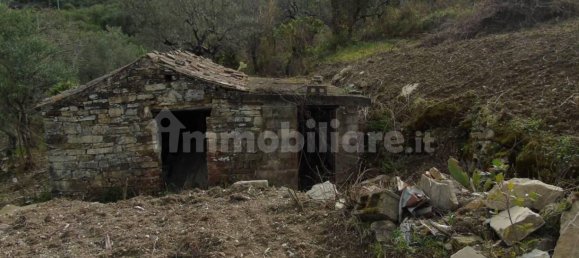 5000m² Land in San Mauro Cilento, Italy No. 308481 27