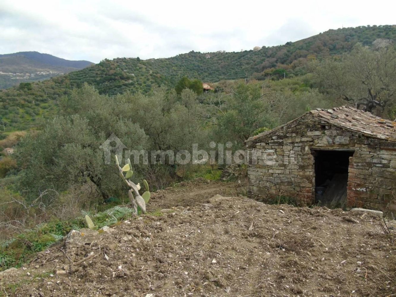 5000m² Land in San Mauro Cilento, Italy No. 308481