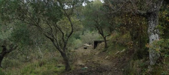 5000m² Land in San Mauro Cilento, Italy No. 308481 22