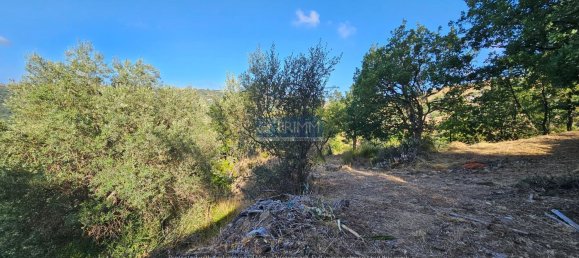 4 غرف نوم منزل في Perdifumo, Italy رقم 352965 5