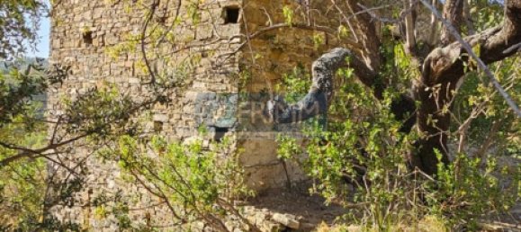 4 غرف نوم منزل في Perdifumo, Italy رقم 352965 15