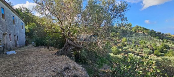 4 غرف نوم منزل في Perdifumo, Italy رقم 352965 4