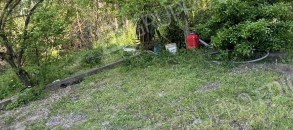 5 rooms House in Mesola, Italy No. 285656 11