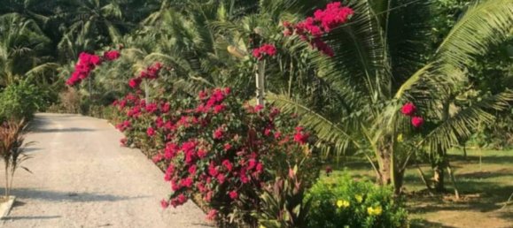 2 chambres Maison à Krabi, Thailand No. 58703 5