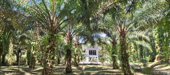 2 chambres Maison à Krabi, Thailand No. 58703 8