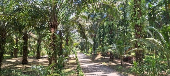 2 chambres Maison à Krabi, Thailand No. 58703 7