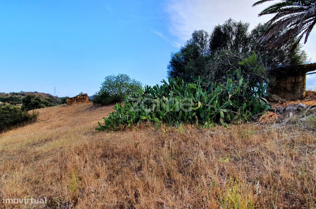  قطعة أرض في Sao Bartolomeu de Messines, Portugal 1640متر مربع رقم 48540