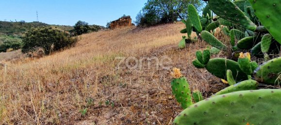  قطعة أرض في Sao Bartolomeu de Messines, Portugal 1640متر مربع رقم 48540 17