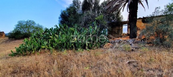  قطعة أرض في Sao Bartolomeu de Messines, Portugal 1640متر مربع رقم 48540 12