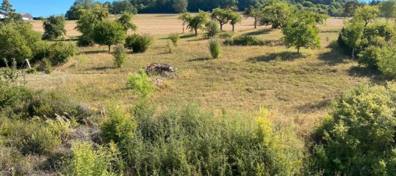 6 Schlafzimmer Stadthaus in Trier-Saarburg, Germany, Nr. 289572 5