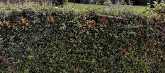 Земельный участок в Рекклингхаузен, Германия № 341857 3