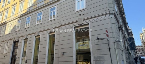 Gewerbliche Immobilie in Trieste, Italy 180m², Nr. 323500 6
