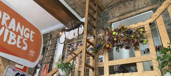 Gewerbliche Immobilie in Trieste, Italy 180m², Nr. 323500 4