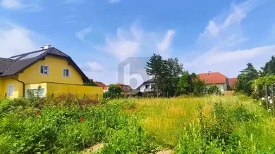 Terrain à Traiskirchen, Austria No. 200975