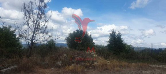 Земельный участок 22000м² в Фафи, Португалия № 51265 9