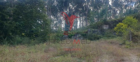 Земельный участок 22000м² в Фафи, Португалия № 51265 14