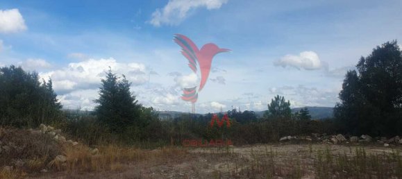 Земельный участок 22000м² в Фафи, Португалия № 51265 6