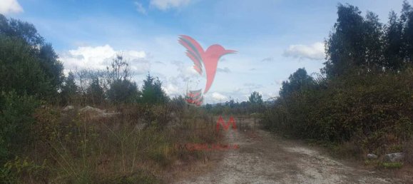 Земельный участок 22000м² в Фафи, Португалия № 51265 2