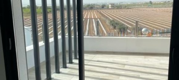 3 bedrooms Villa in San Miguel de Salinas, Spain No. 12213 30