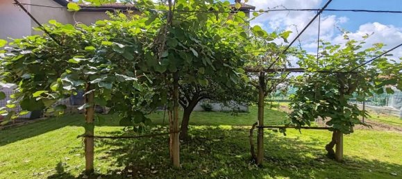 5-Zimmer Haus in Vauda Canavese, Italy, Nr. 18405 26