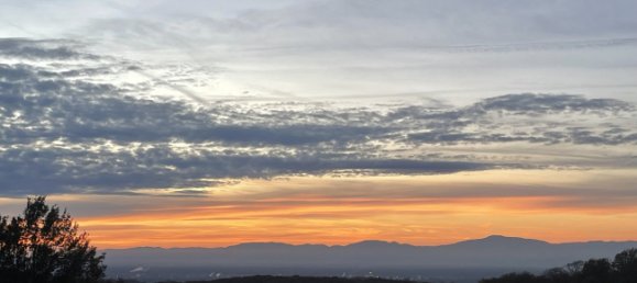 Таунхаус с 8 комнатами в Брайсгау-Верхний Шварцвальд, Германия № 60646 4