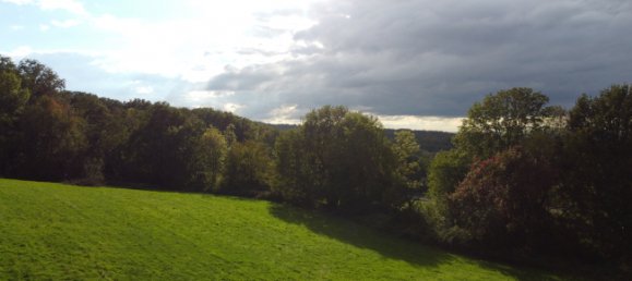 Таунхаус с 8 комнатами в Брайсгау-Верхний Шварцвальд, Германия № 60646 17