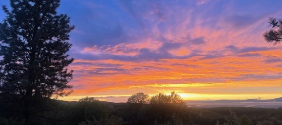 Таунхаус с 8 комнатами в Брайсгау-Верхний Шварцвальд, Германия № 60646 2