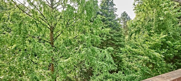 8غرفة منزل في Markischer, Germany رقم 321331 33