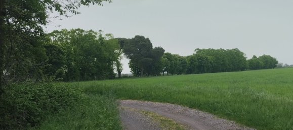 4 غرف نوم منزل في Castel Giorgio, Italy رقم 376883 2