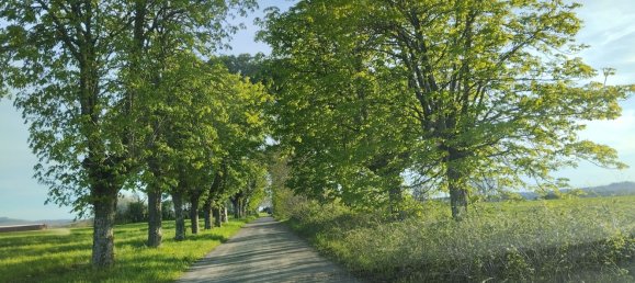 4 غرف نوم منزل في Castel Giorgio, Italy رقم 376883 6