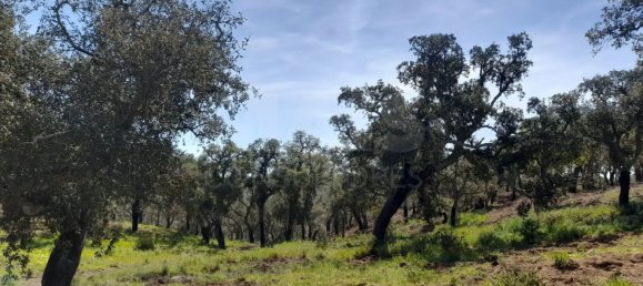  Land in Grandola, Portugal No. 135803 4