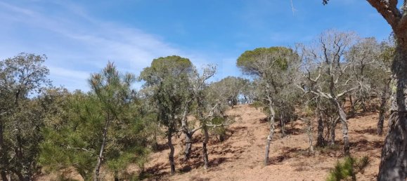  Land in Grandola, Portugal No. 135803 11